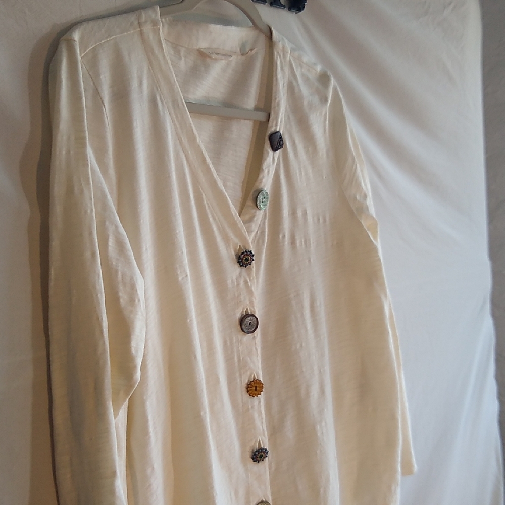 Soft Surroundings PM button down top